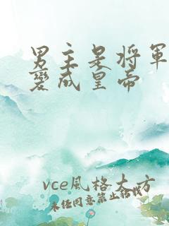 男主是将军后来变成皇帝