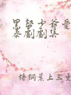 黑帮少爷爱上我泰剧剧集