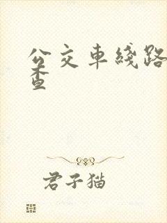 公交车线路怎么查