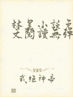林昊小说免费全文阅读无弹窗