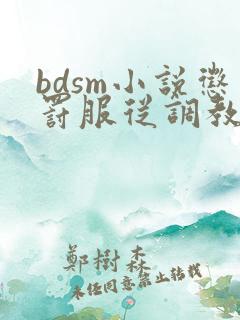 bdsm小说惩罚服从调教