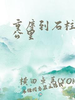 重庆到石柱多少公里