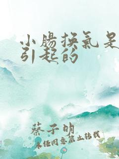 小肠换气是怎么引起的