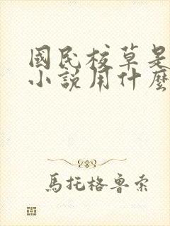国民校草是女生小说用什么app可以免费 国民校草是女生小说用什么app可以免费