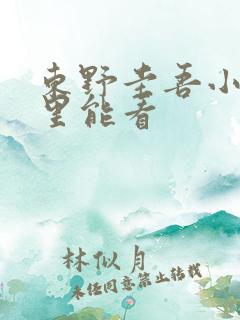 东野圭吾小说哪里能看