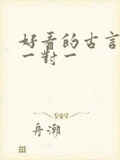 好看的古言小说一对一