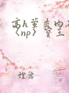 高h荤爽肉欲文〈np〉宝玉