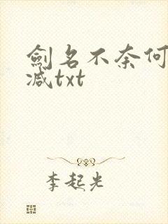 剑名不奈何无删减txt