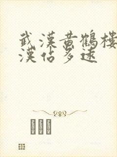 武汉黄鹤楼到武汉站多远