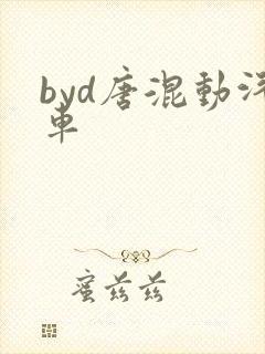 byd唐混动汽车