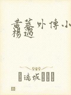 黄蓉外传小说和杨过