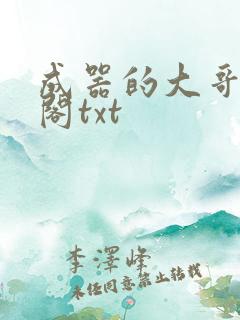 成器的大哥笔趣阁txt