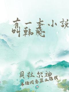 有一本小说主角叫韩飞