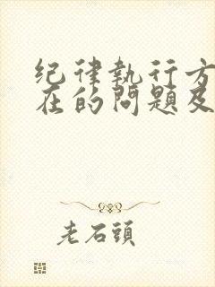 纪律执行方面存在的问题及整改措施 纪律执行方面存在的问题及整改措施