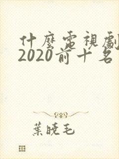 什么电视剧好看2020前十名