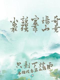小说官场奇才:最强靠山竟是我自己李澜在
