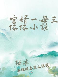 官婿一母三女柳依依小说