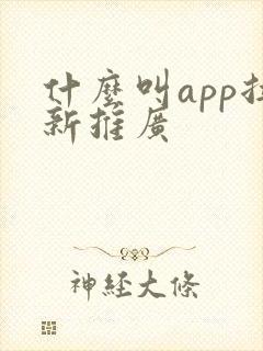 什么叫app拉新推广