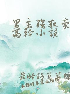 男主强取豪夺的高干小说