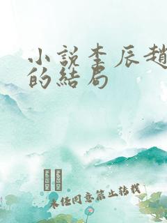 小说李辰赵清澜的结局