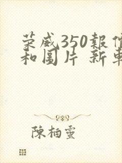 荣威350报价和图片 新车报价