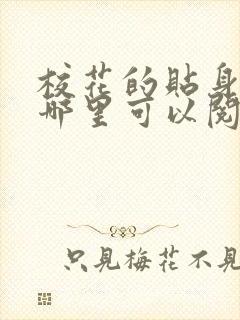 校花的贴身高手哪里可以阅读