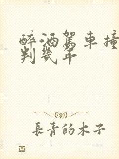 醉酒驾车撞死人判几年