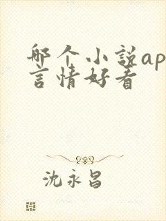 哪个小说app言情好看