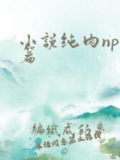 小说纯肉np短篇