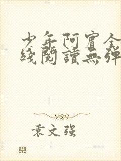 少年阿宾全文在线阅读无弹窗