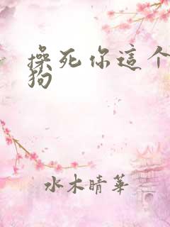 操死你这个骚母狗