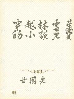 穿越林云叶婉清的小说免费阅读 穿越林云叶婉清的小说免费阅读