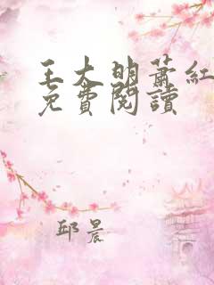 王大明萧红小说免费阅读
