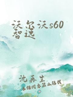 沃尔沃s60 智逸