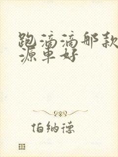 跑滴滴那款新能源车好