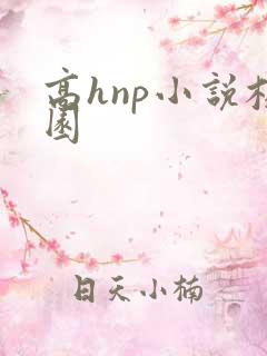 高hnp小说校园