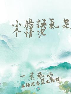 小肠换气是怎么个情况