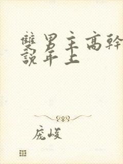双男主高干文小说年上