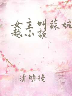 女主叫苏婉的穿越小说