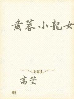 黄蓉小龙女小说