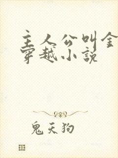 主人公叫金锋的穿越小说