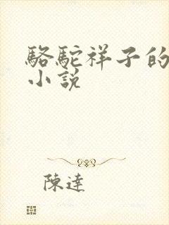 骆驼祥子的长篇小说