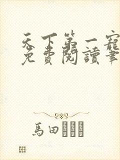 天下第一宠小说免费阅读笔趣阁