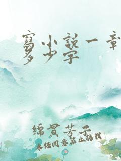 写小说一章大概多少字
