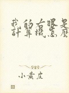 我的右眼是神级计算机怎么样