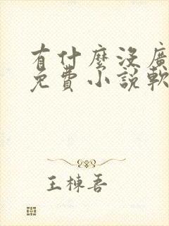 有什么没广告的免费小说软件