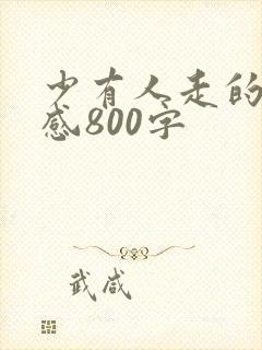 少有人走的路有感800字