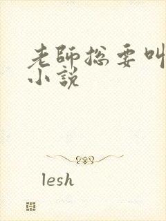 老师总要叫家长小说