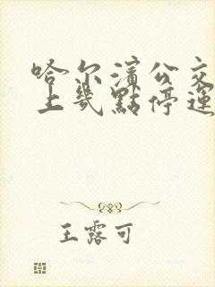 哈尔滨公交车晚上几点停运