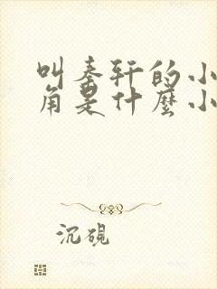 叫秦轩的小说主角是什么小说